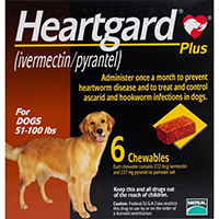 Heartgard Plus